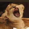 PBP's profile picture
