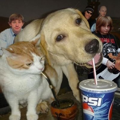eric_cartman_05's profile picture