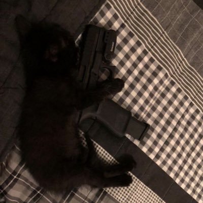 Fallen's profile picture