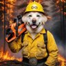 Profilbild von CentralTexas