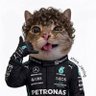 Ray's profile picture