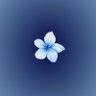 Profilbild von تيو💙