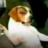 Profilbild von Chuncy