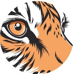 Nas_anikinShop's profile picture