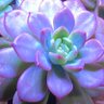 Фото профиля ふま