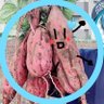 Фото профиля みるくせんべƖ ı