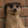 Profilbild von Modestus