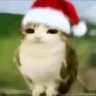 TY's profile picture