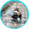 みかん🍄's profile picture