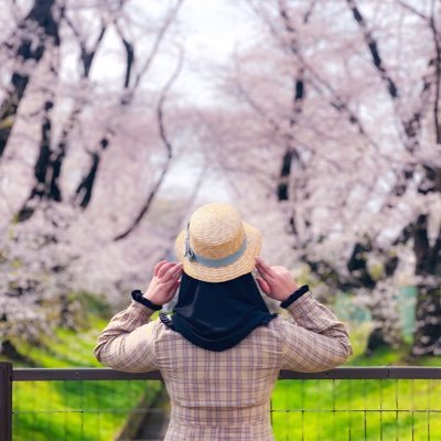 Sistha's profile picture