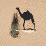 Фото профиля 🇸🇦 عبدالعزيز البدر