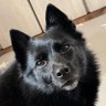 Profilbild von ベイパルとの日常
