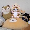 やすやすやす 的头像
