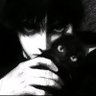 N.'s profile picture