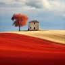 ھمارا پاکستان profil fotoğrafı