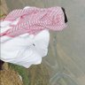 Profilbild von صادق الاحساس