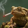 まつり|既得権に支配されたクソ社会を利用する人's profile picture