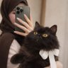 Rafeef profil fotoğrafı