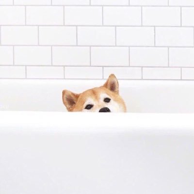 mxrch's profile picture