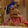 djmazzafakka aka DJCAPYBARA 🍄🍄 profil fotoğrafı