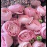 Фото профиля مليكة بن عطاءالله