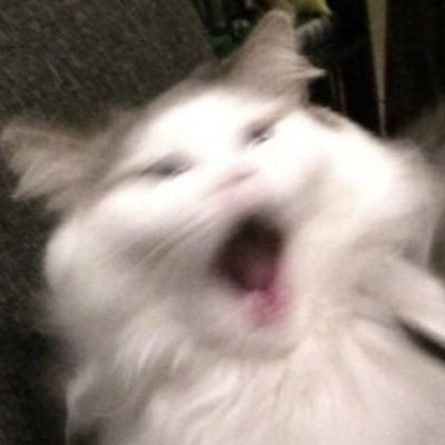 mb9300_mt's profile picture
