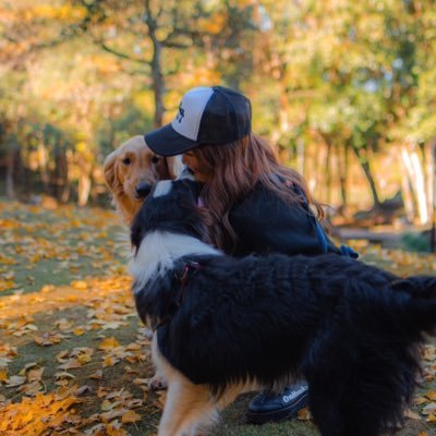 miko_ppp's profile picture