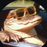 आयुष। profil fotoğrafı
