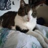 🇫🇷Catherine Jeanne Suzanne ✝️'s profile picture