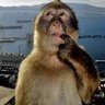 imcrapweasel profil fotoğrafı