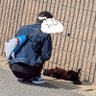 一匹アンゴラウサギ's profile picture