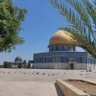 Syrian_muslim 的头像
