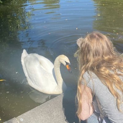 ☘︎'s profile picture