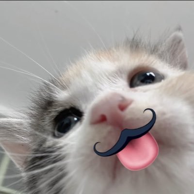 mm0v0mmMMM's profile picture