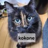 Фото профиля kokone🖤🎭️🇯🇵