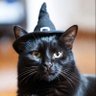 Фото профиля Witchy