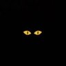 Samael Dias 🇧🇷's profile picture