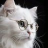 imran jafri's profile picture