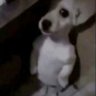 Edward E's profile picture