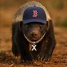 HoneyXBadger's profile picture