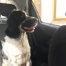 William_58's profile picture