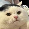 JoeBlowSkidRow's profile picture