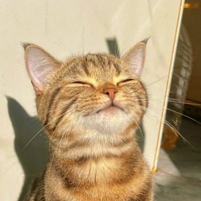 nanya103704's profile picture