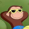 Profilbild von branquinho