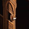 ..مِعراج profil fotoğrafı