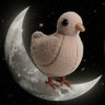 Profilbild von Moon Bird
