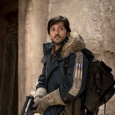 Cassian andor's profile picture