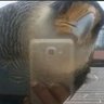 Iuri¹⁸⁹⁹'s profile picture