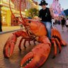 Фото профиля 刘子渝|BGB