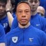 SmashCat's profile picture